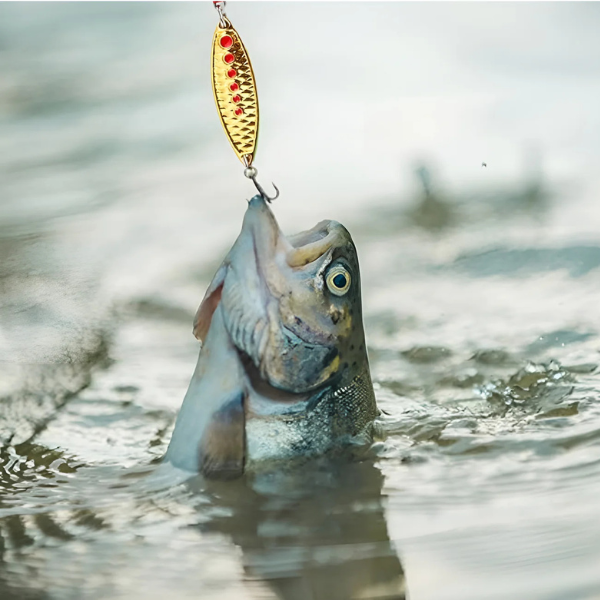 Fishxmas™ Fisherman’s Advent Calendar